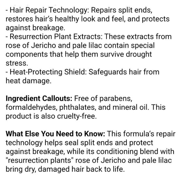 Bumble and Bumble BB Repair Blow Dry Cream For Dry Damaged Hair - Picture 5 of 10